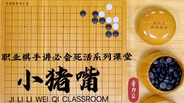 【职业棋手季力立讲围棋必会死活】第一讲:小猪嘴