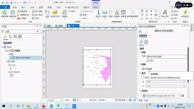 ArcGIS Pro 格网设置