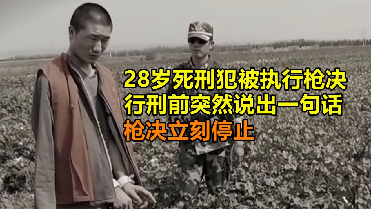 28岁死刑犯被执行枪决，行刑前突然说出一句话，枪决立刻停止腾讯视频 3928