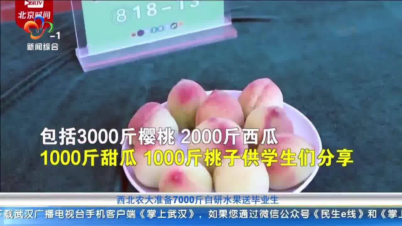 西北农大准备7000斤自研水果送毕业生:让学生体验学农的快乐