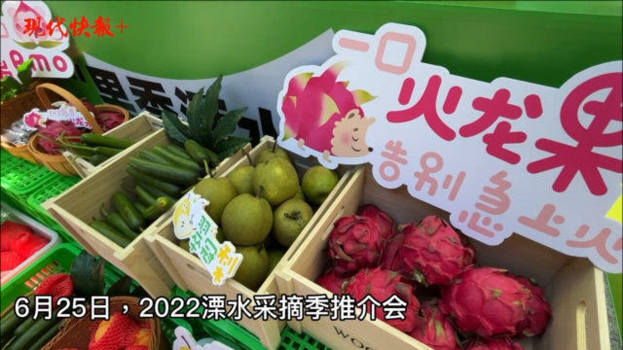 南京溧水采摘季来了!承包红山动物园“毛孩子”今夏甜蜜