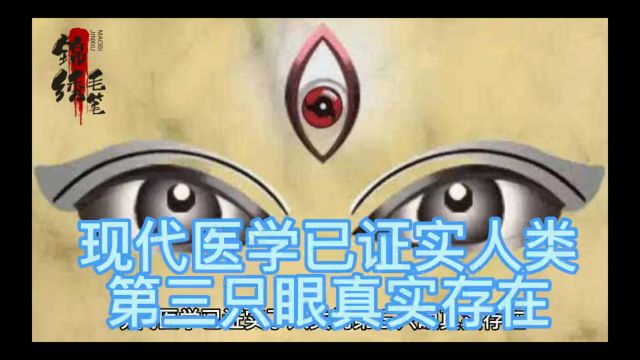 现代医学已证实了人类第三只眼真实存在