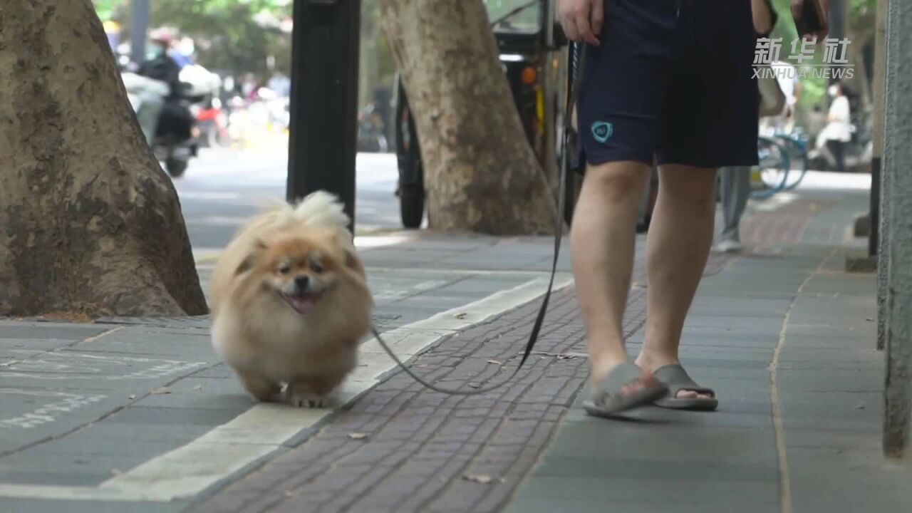 上海小店:温暖还在 保持信心