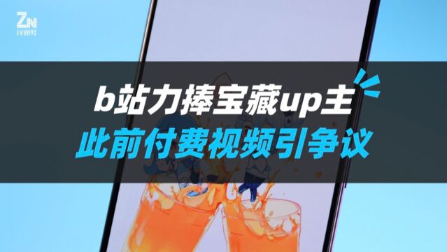 b站13周年力捧“宝藏up主”,此前付费视频引争议