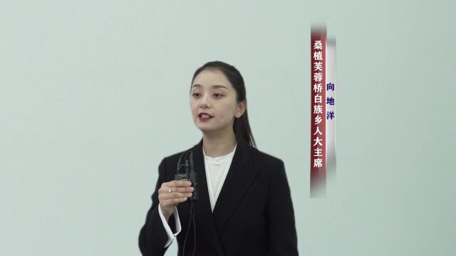 让全过程人民民主在乡村落地生根——访桑植县芙蓉桥白族乡人大主席向地洋