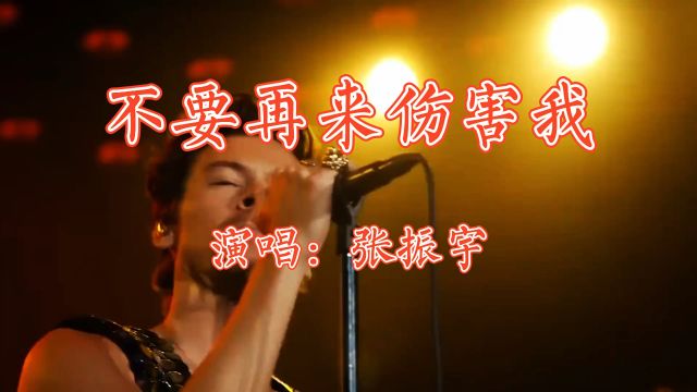 《不要在来伤害我》演唱:张振宇