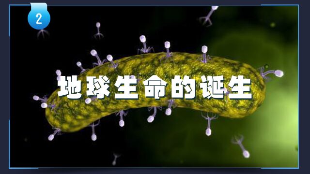 寒武纪生命大爆发百科 640