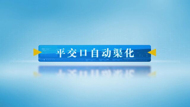 平交口渠化功能展示