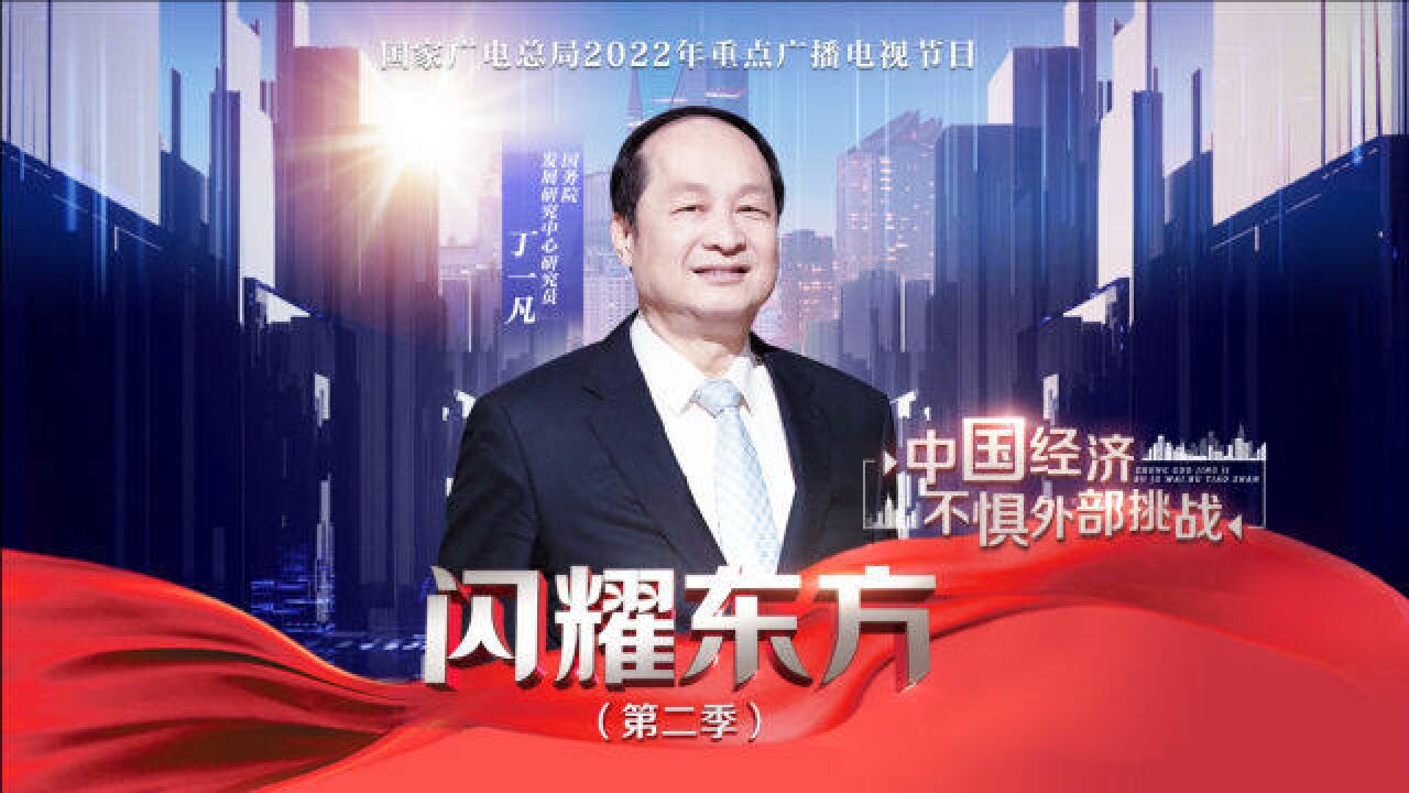 闪耀东方丨丁一凡:中国经济 不惧外部挑战