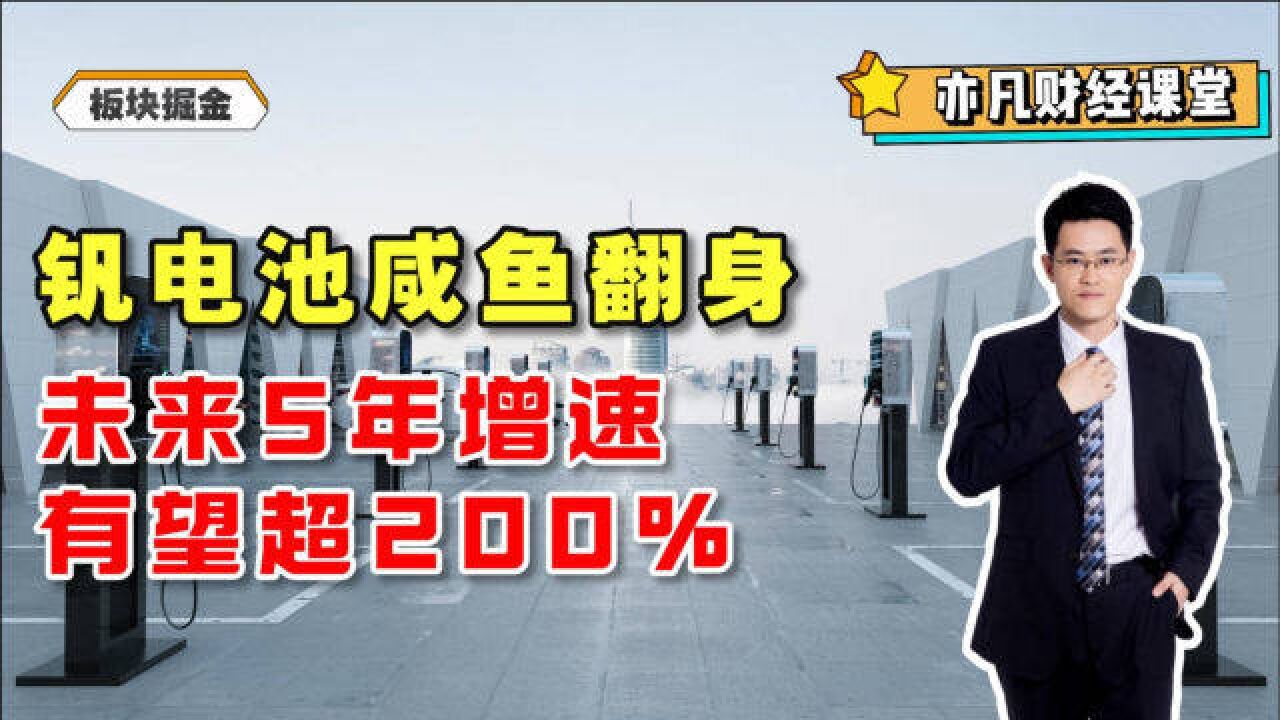 钒电池咸鱼翻身,未来5年增速有望超200%