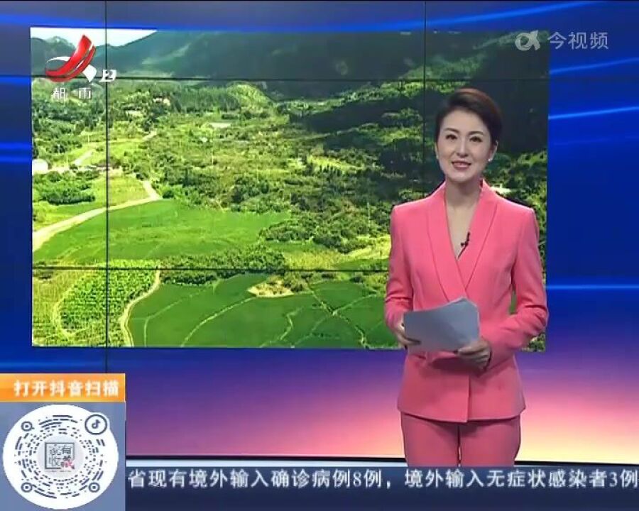 【赣闻天下】赣州龙南:千亩李子迎丰收 产业振兴好“钱景”