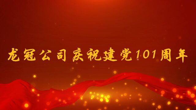 龙观公司庆祝建党101周年视频