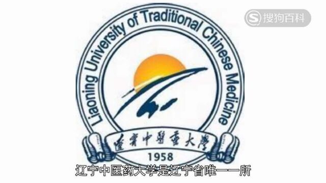 立懂百科带你了解辽宁中医药大学