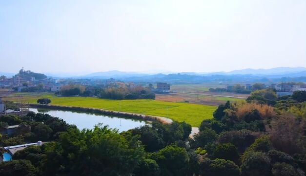 夏日青年行,共筑广卫梦