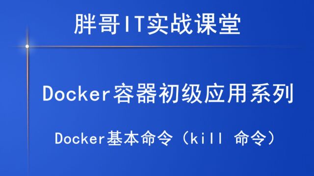 Docker基本命令(kill 命令)下2