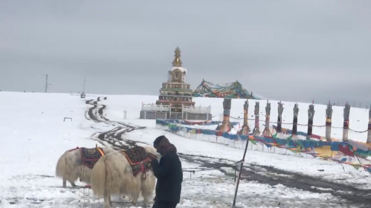 青海祁连县7月降雪,山脉平原白雪皑皑如梦似幻