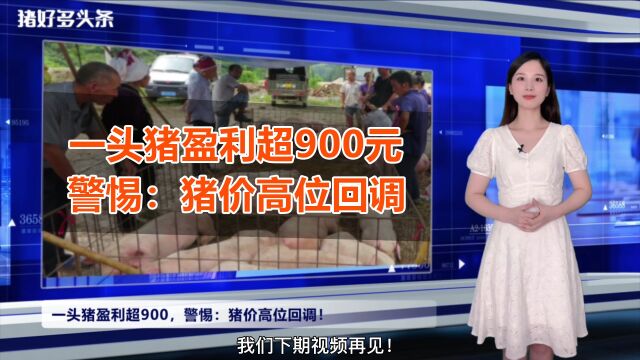 一头猪盈利超800,警惕:猪价高位回调!7月下旬猪价怎么走?