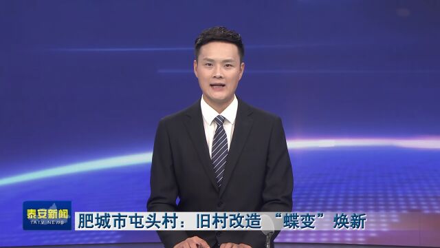 泰安肥城市屯头村:旧村改造 “蝶变”焕新