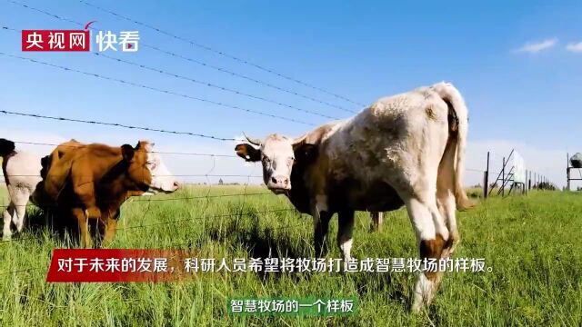 【美丽中国ⷧ𝑧𛜥꒤𝓧”Ÿ态行】科研人员扎根草原 为守护草原最亮底色奉献青春