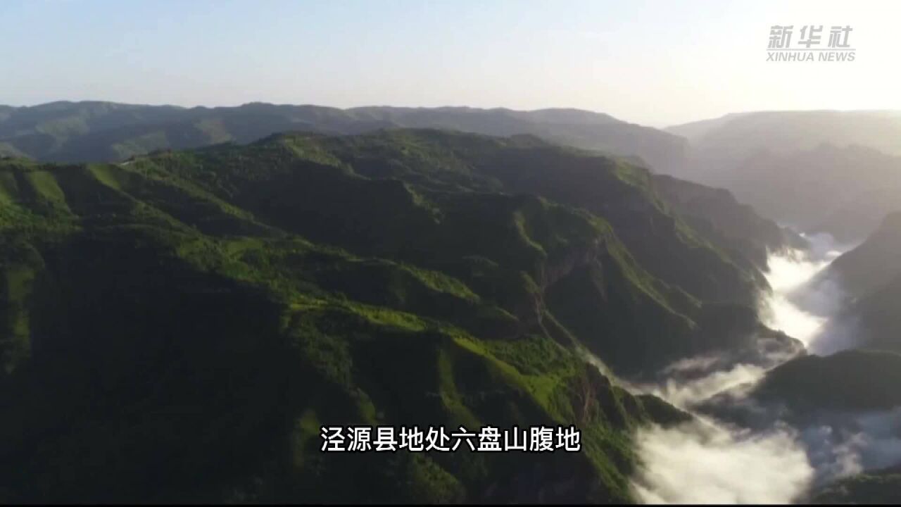 智慧养蜂助力蜂农酿造“甜蜜事业”