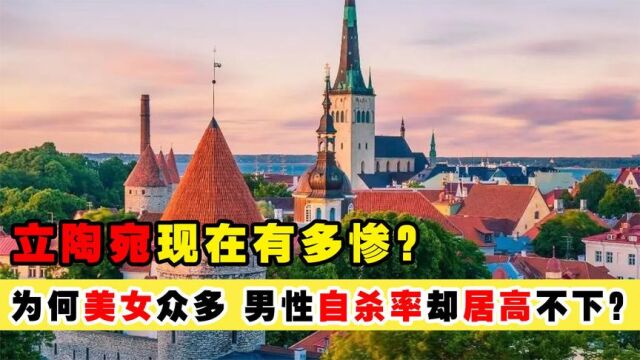 挑衅我国的立陶宛如今有多惨?美女泛滥成灾,男性自杀率世界第一