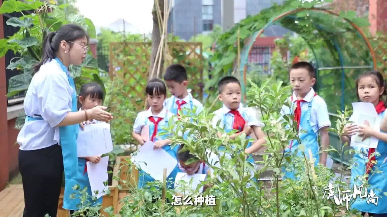 庐师风尚:“醉”美校园:合肥市黄山路小学