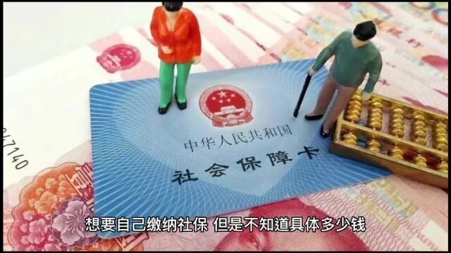 公司不给交社保怎么办?个人交多少钱?