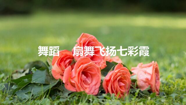 昆明芳草艺术团演出侧记 01