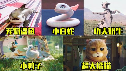 盘点电影中的可爱小动物，你最喜欢哪个会飞的小鸭子太可爱了