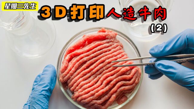 探访人造肉工厂,用3D打印技术,打印出以假乱真的人造牛肉