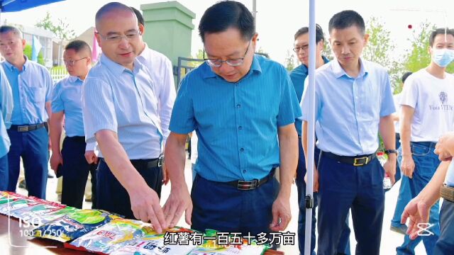 看湖北种子“新势力”,如何端牢粮食安全“金饭碗” ▏2022湖北三农观察