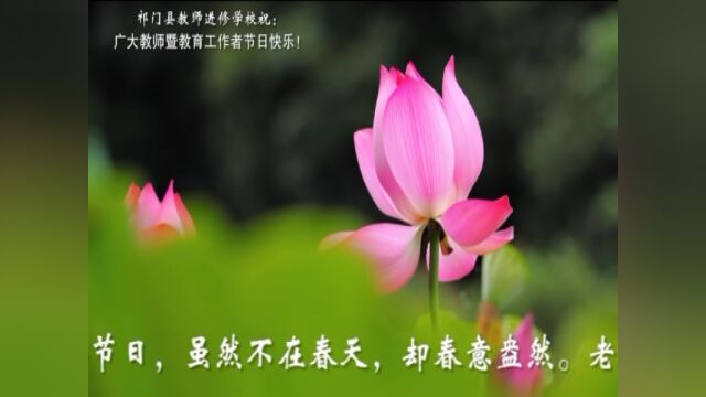 【点歌台】祁门县教师进修学校祝全县教师第38个教师节节日快乐!