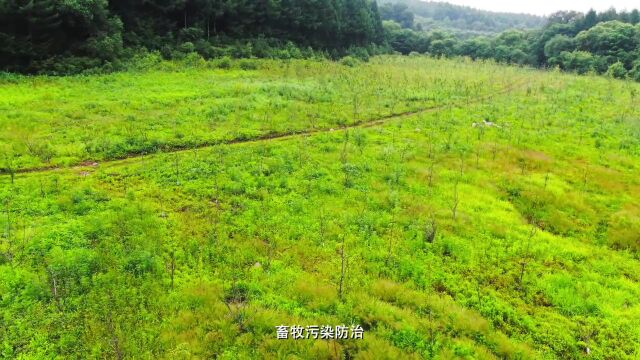 【促进乡村旅游高质量发展】东辽河源头——东辽县辽河源镇安北村