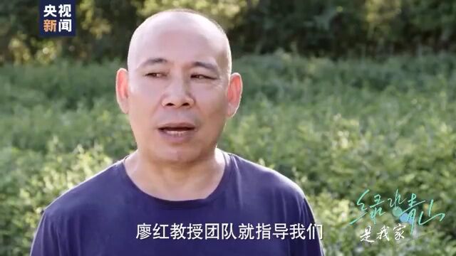 绿水青山是我家⑧ | 最美茶园里的“科特派”