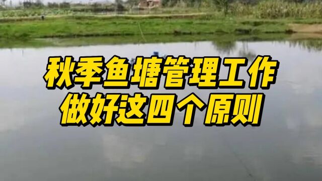 秋季鱼塘管理工作,做好这四个原则