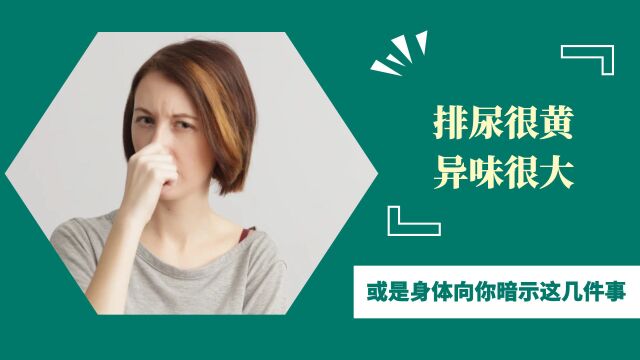 排尿很黄、异味很大?或是身体向你暗示这几件事,一定要重视