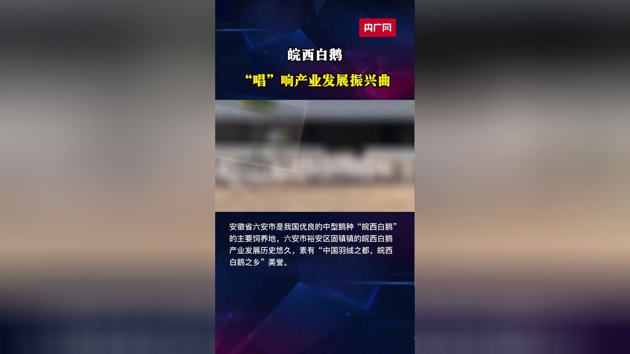 皖西白鹅,“唱”响产业发展振兴曲