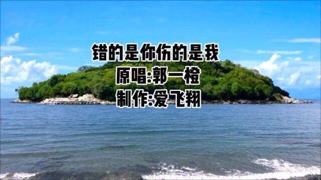 郭一橙一首《错的是你伤的是我》经典老歌,好听极了