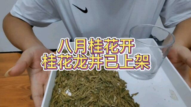 桂花龙井做好几天了,窨制以后的回火也完成了,可以上架了