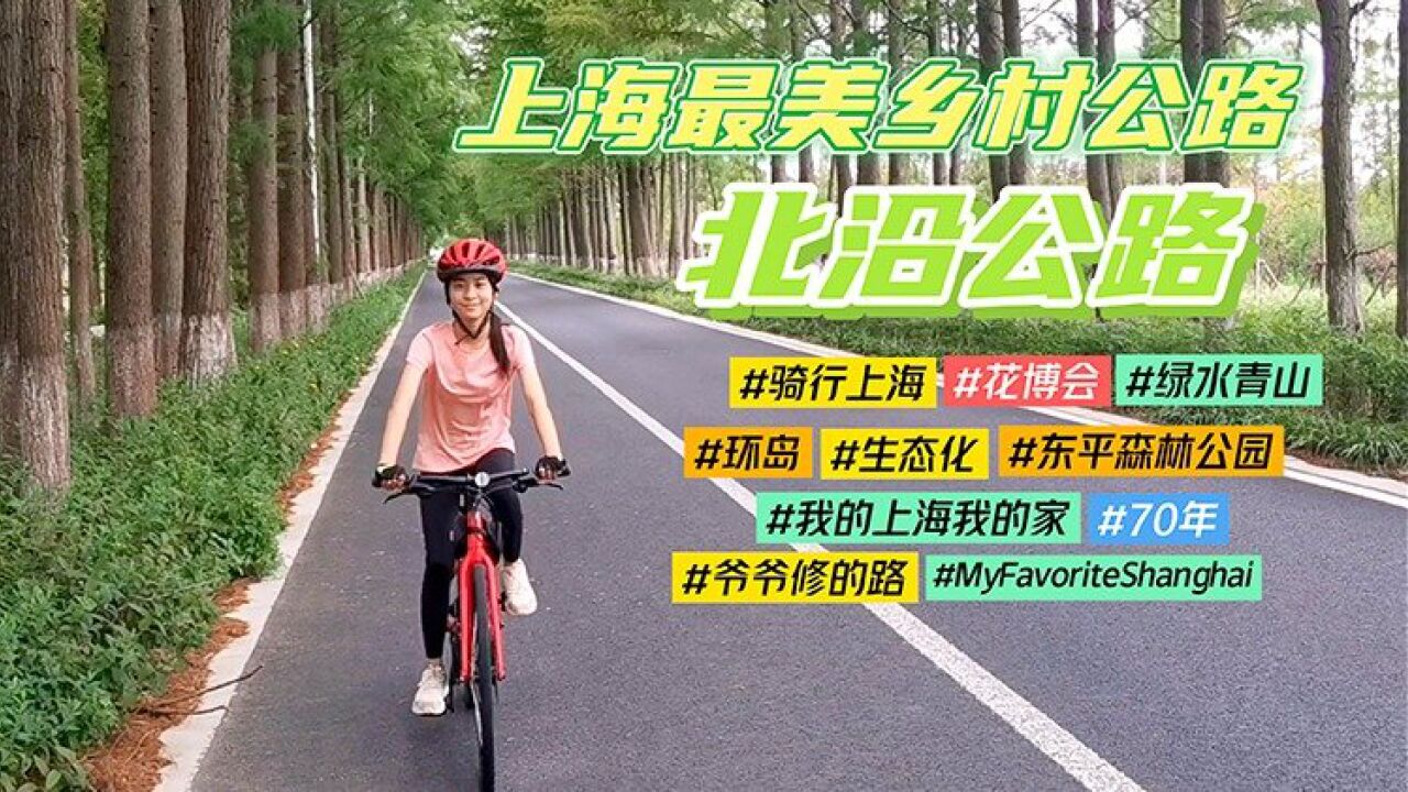 秦越:崇明北沿公路 一条不寻常的路