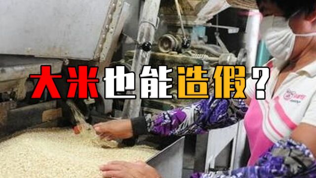 塑料大米是真的吗?精致的白米,为何让我国每年损失150亿斤粮食