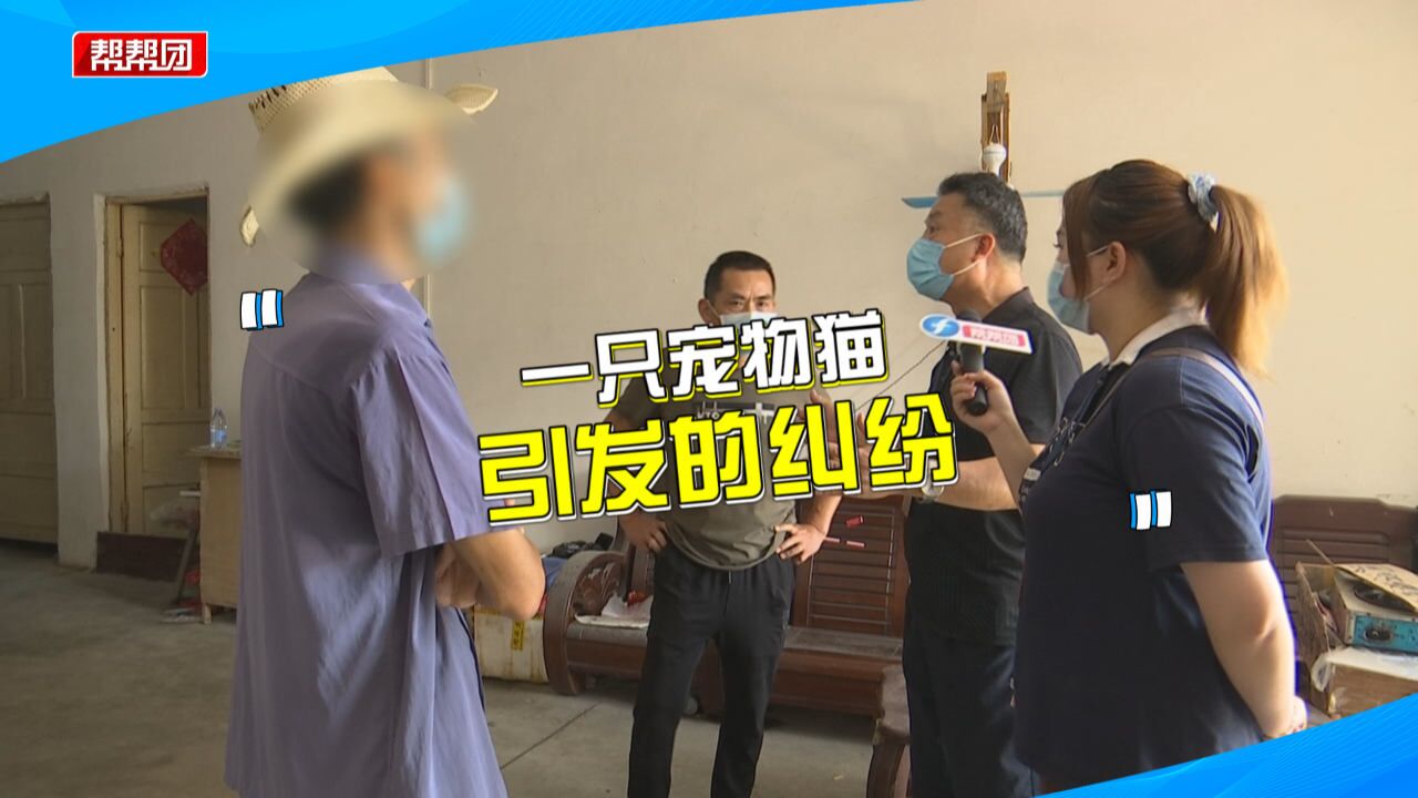 邻居搬家留下宠物猫,新租客恐有影响痛下杀手:我身体健康最重要