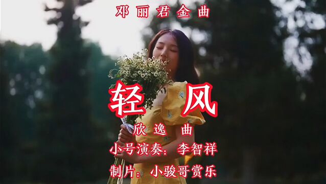 邓丽君金曲,小号演奏家李智祥演奏,难忘的旋律《轻风》