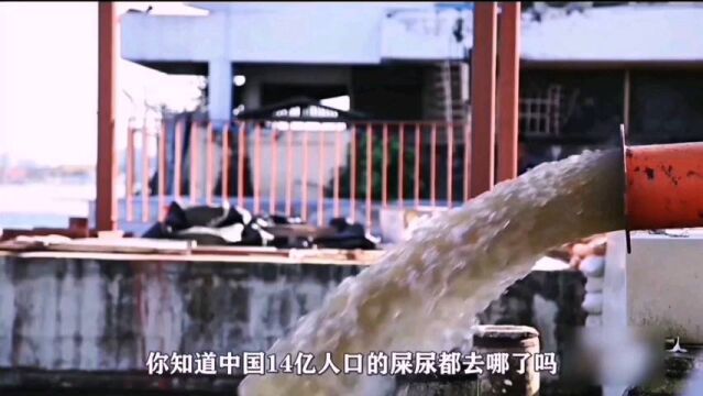 中国14亿人口生活污水处理过程 #污水处理 #污水处理设备 #污水处理厂