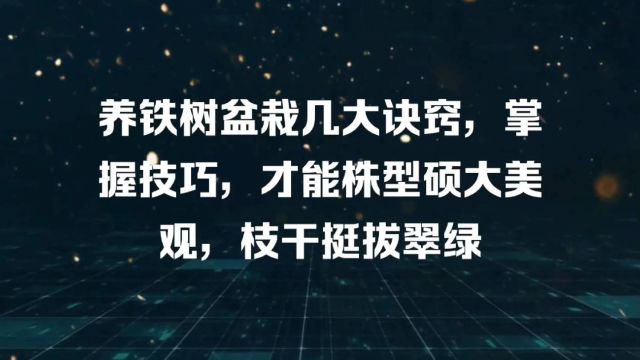 养铁树盆栽几大诀窍,掌握技巧,才能株型硕大美观,枝干挺拔翠绿