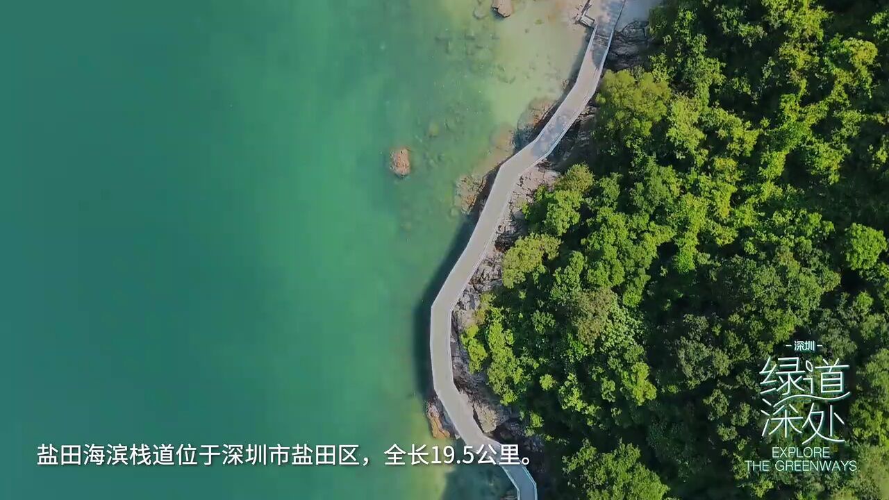 穿“阅”绿道|盐田海滨栈道:山海尽头的浪漫