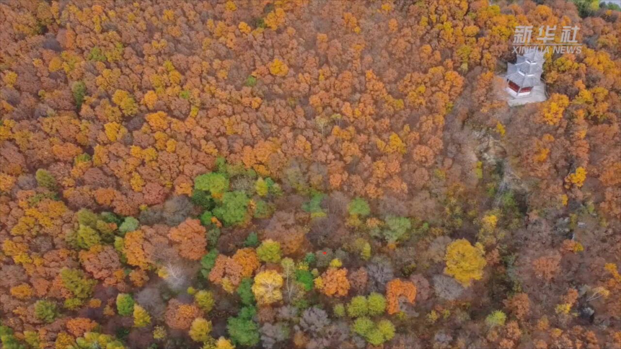 黑龙江绥芬河:秋景醉人 美不胜收