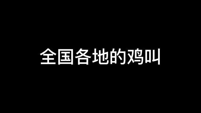 全国各地的鸡都怎么叫?