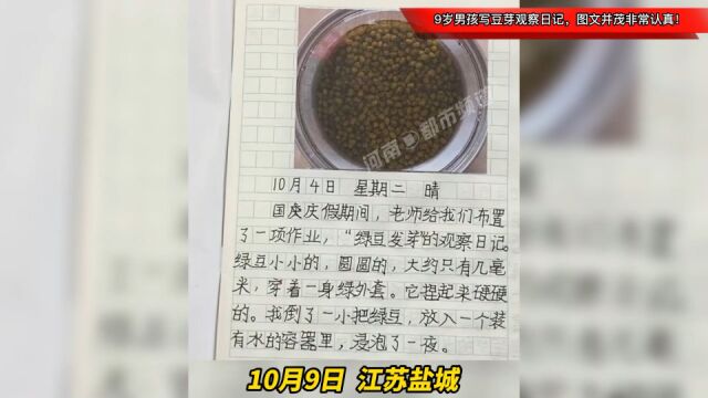 9岁男孩写豆芽观察日记,图文并茂非常认真!班主任:拍下作范本