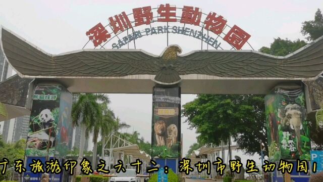 广东旅游印象之六十二:深圳市野生动物园1